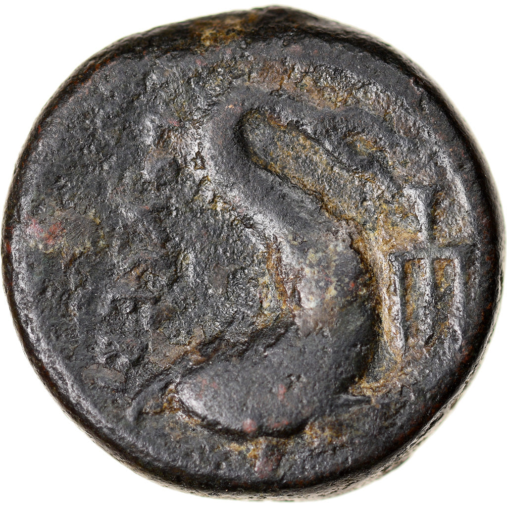 Coin, Apulia, Luceria, AE Teruncius, 211-200 BC, VF(30-35), Bronze, SNG ANS:706