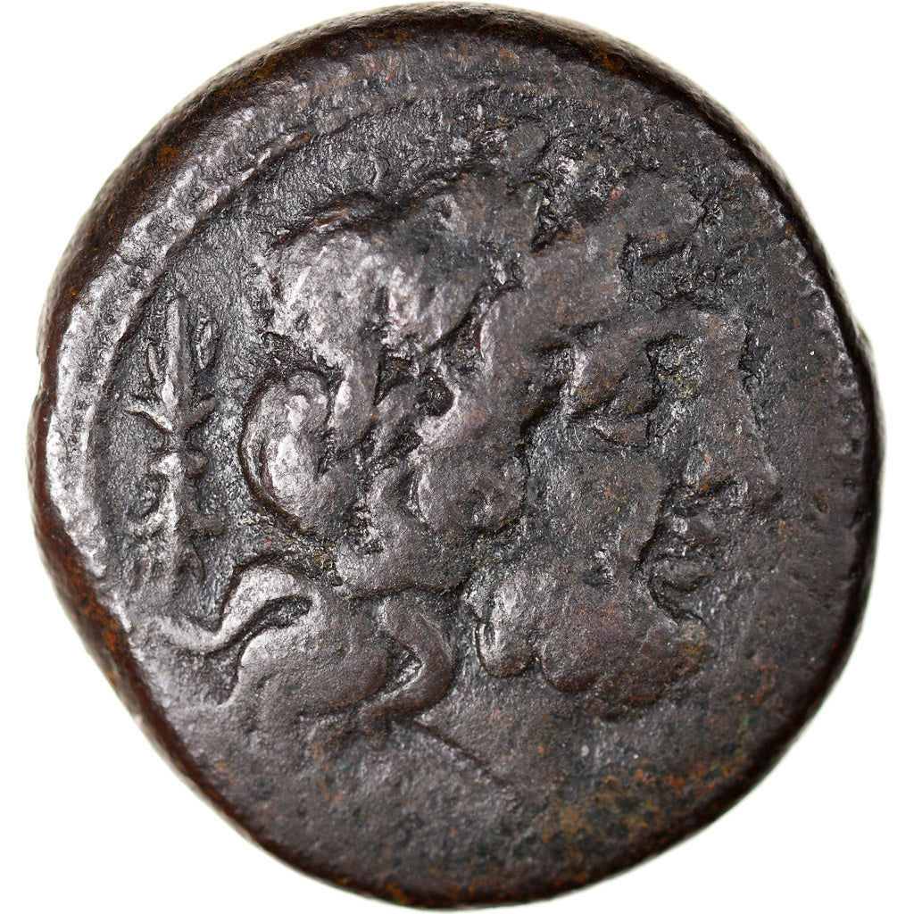 Coin, Bruttium, The Brettii, Bronze Unit, 211-208 BC, EF(40-45), Bronze, HN