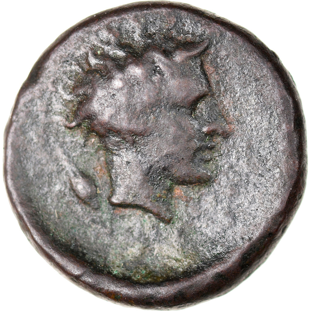 Monnaie, Sicile, Gela, Tetras, 420-405 BC, TTB, Bronze, SNG ANS:112