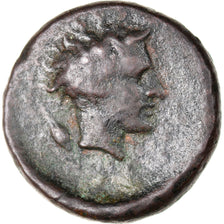 Monnaie, Sicile, Gela, Tetras, 420-405 BC, TTB, Bronze, SNG ANS:112