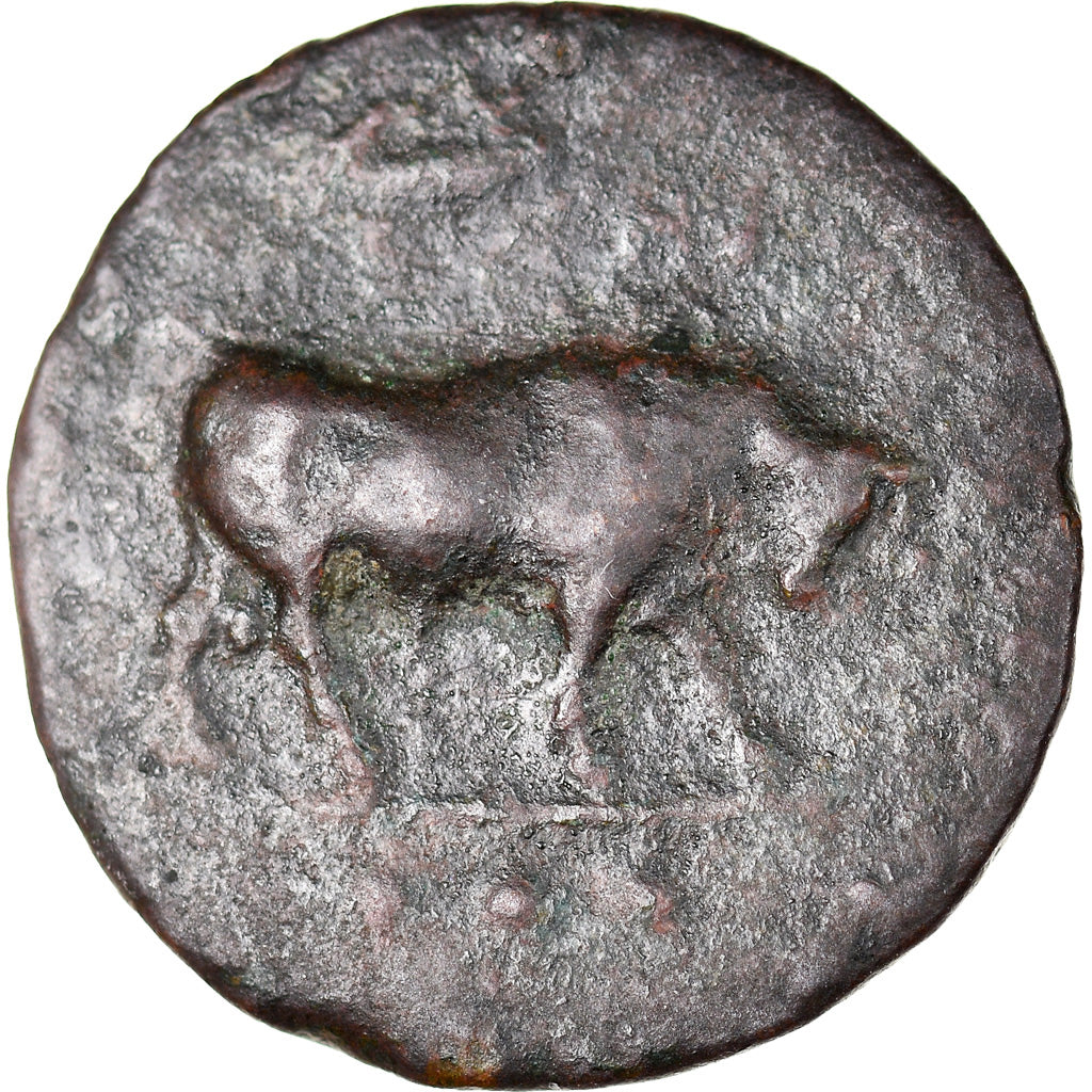 Monnaie, Sicile, Gela, Tetras, 420-405 BC, TTB, Bronze, SNG ANS:112