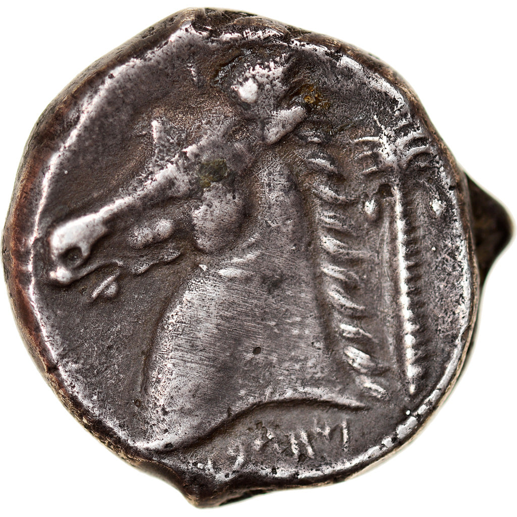 Monnaie, Sicile, Siculo-Punic, Tétradrachme, 300-289 BC, Entella, TTB+, Argent
