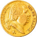 Coin, France, Louis XVIII, Louis XVIII, 20 Francs, 1818, Paris, EF(40-45), Gold