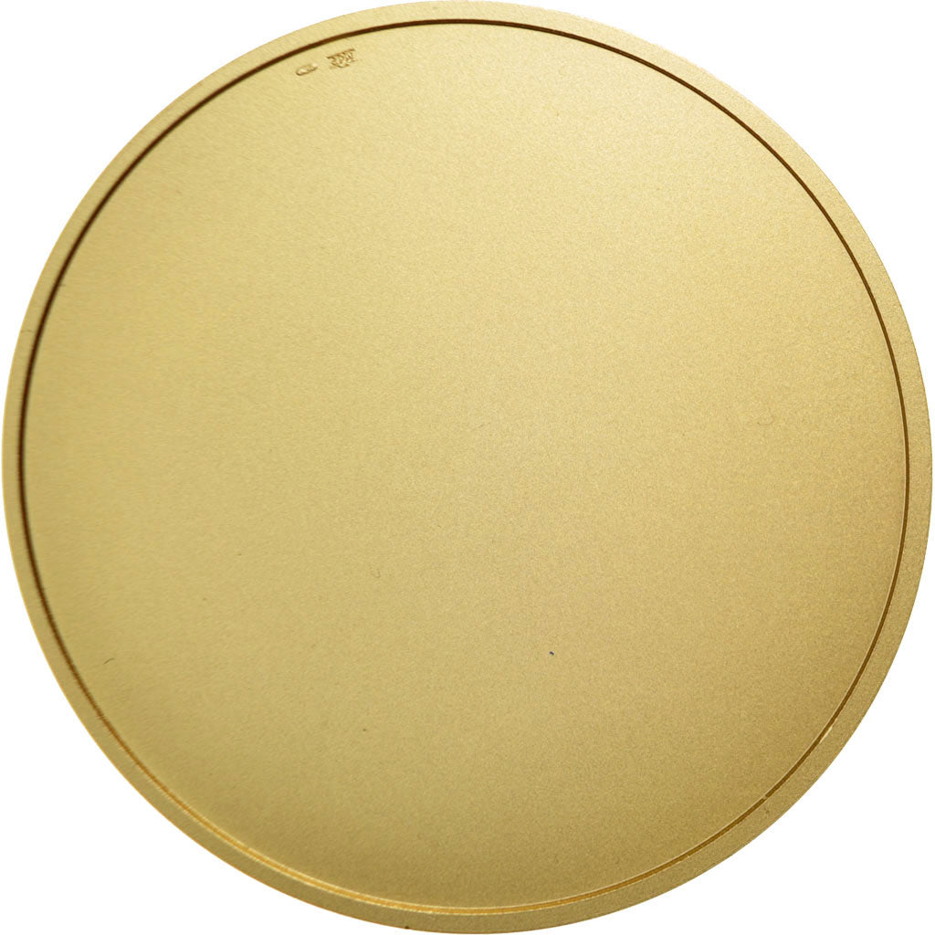 France, Medal, The Fifth Republic, History, FDC, Gilt Bronze