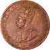 Münze, Australien, George V, 1/2 Penny, 1919, SS+, Bronze, KM:22