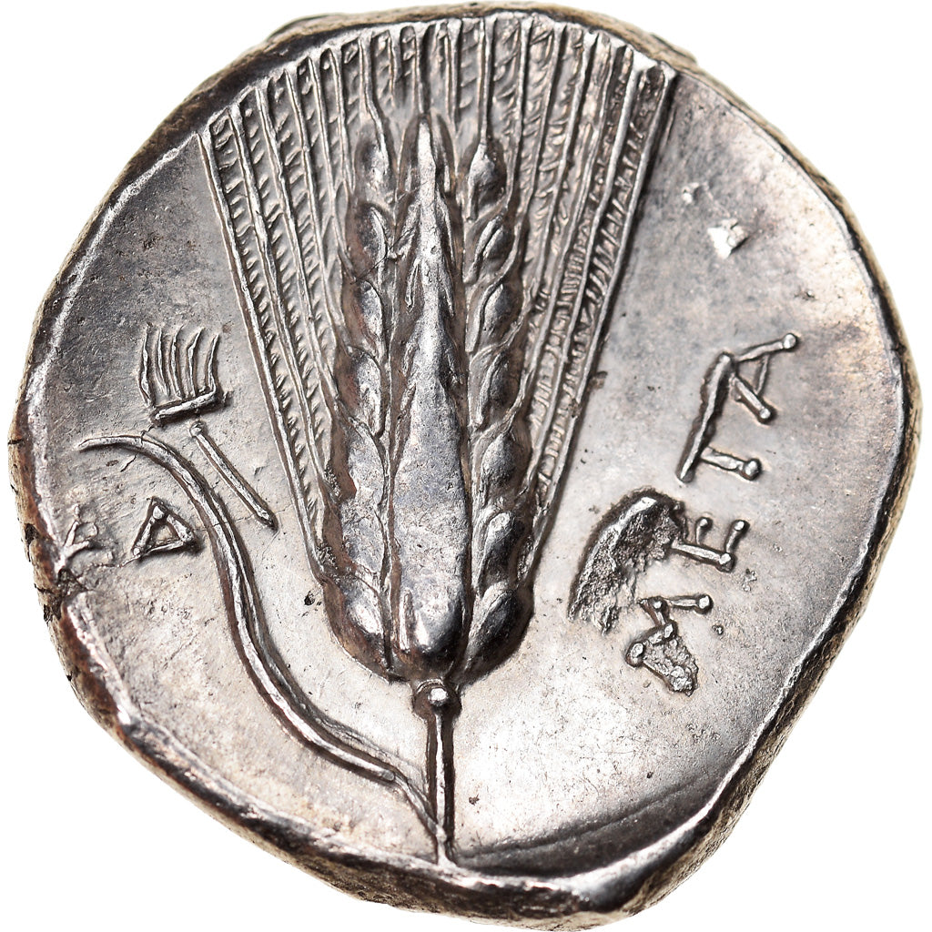 Moneta, Lucania, Metapontion, Didrachm, 330-290 BC, BB, Argento, SNG ANS:452