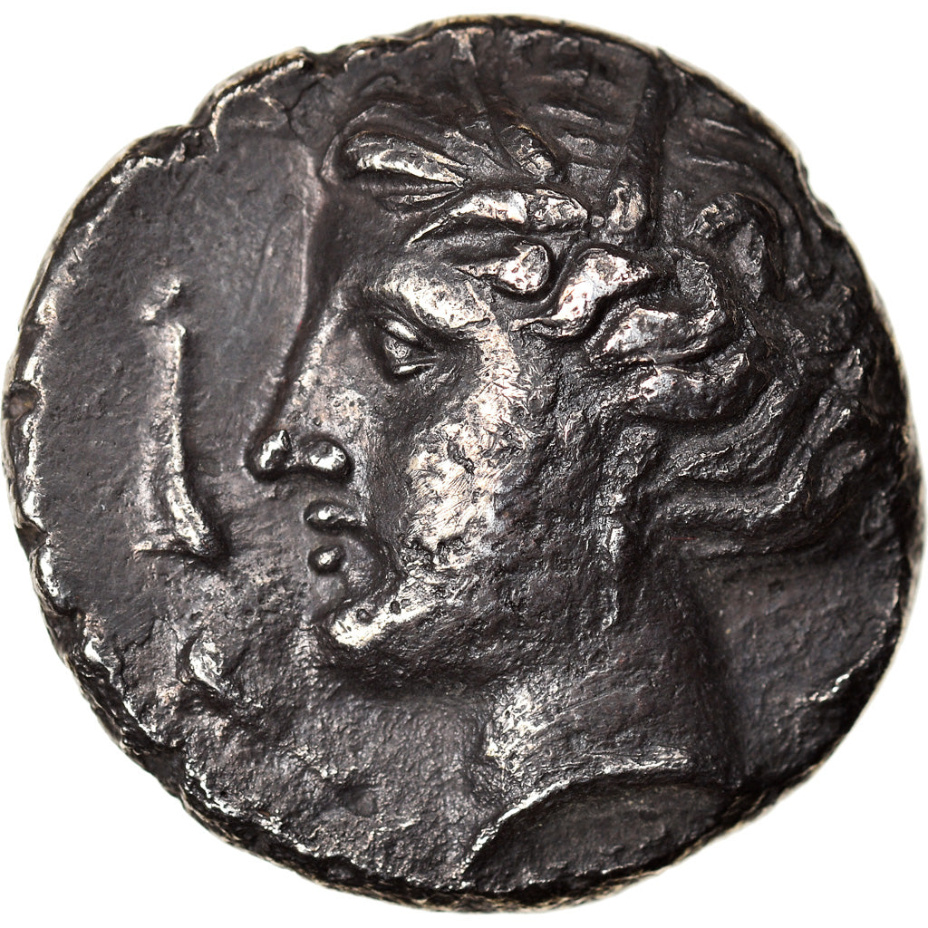 Munten, Sicilië, Siculo-Punic, Tetradrachm, 320-300 BC, Entella, ZF, Zilver