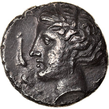 Munten, Sicilië, Siculo-Punic, Tetradrachm, 320-300 BC, Entella, ZF, Zilver
