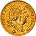 Münze, Frankreich, Louis XVIII, Louis XVIII, 40 Francs, 1817, Paris, SS, Gold