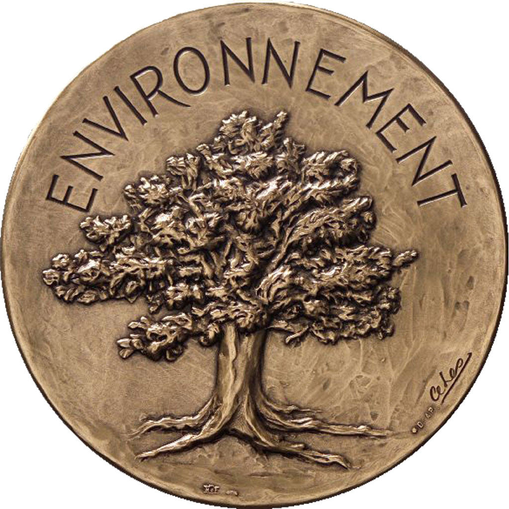 Francia, Medal, The Fifth Republic, Politics, Society, War, FDC, Bronzo