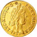Moneta, Francia, Louis XIV, Louis d'or à la mèche longue, Louis d'Or, 1650