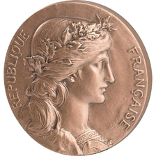 France, Medal, The Fifth Republic, Politics, Society, War, MS(65-70), Bronze