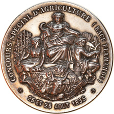 Frankrijk, Medaille, Concours d'Agriculture, Race Flamande, Hazebrouck, 1895