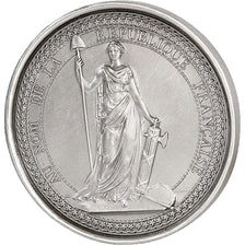 France, Medal, The Fifth Republic, History, MS(65-70), Silvered bronze