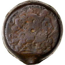 Moneda, Egypt, Ptolemy VI and Ptolemy VIII, Bronze Æ, 180-145 BC, Alexandria