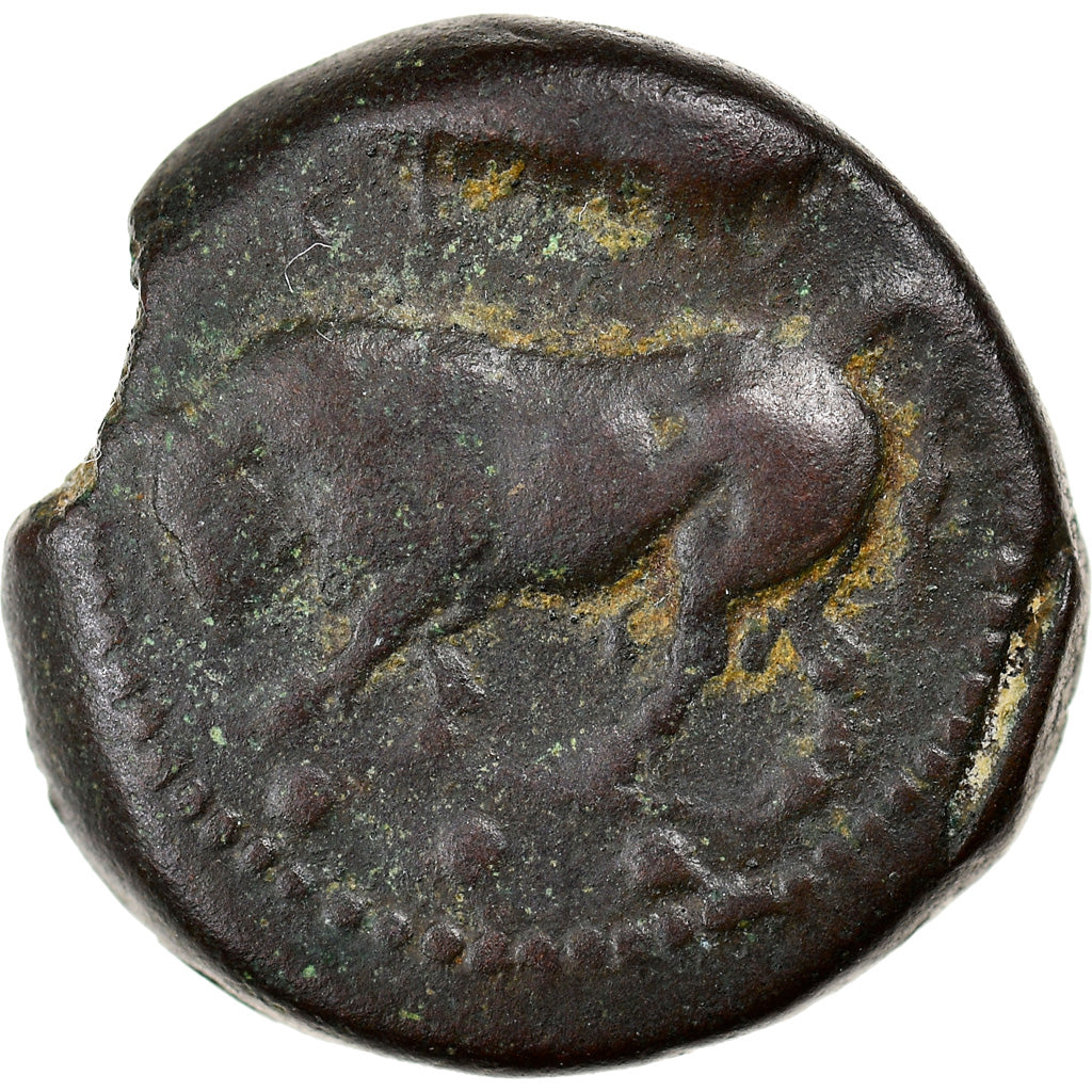 Coin, Sicily, Gela, Tetras, 420-405 BC, VF(30-35), Bronze, HGC:379