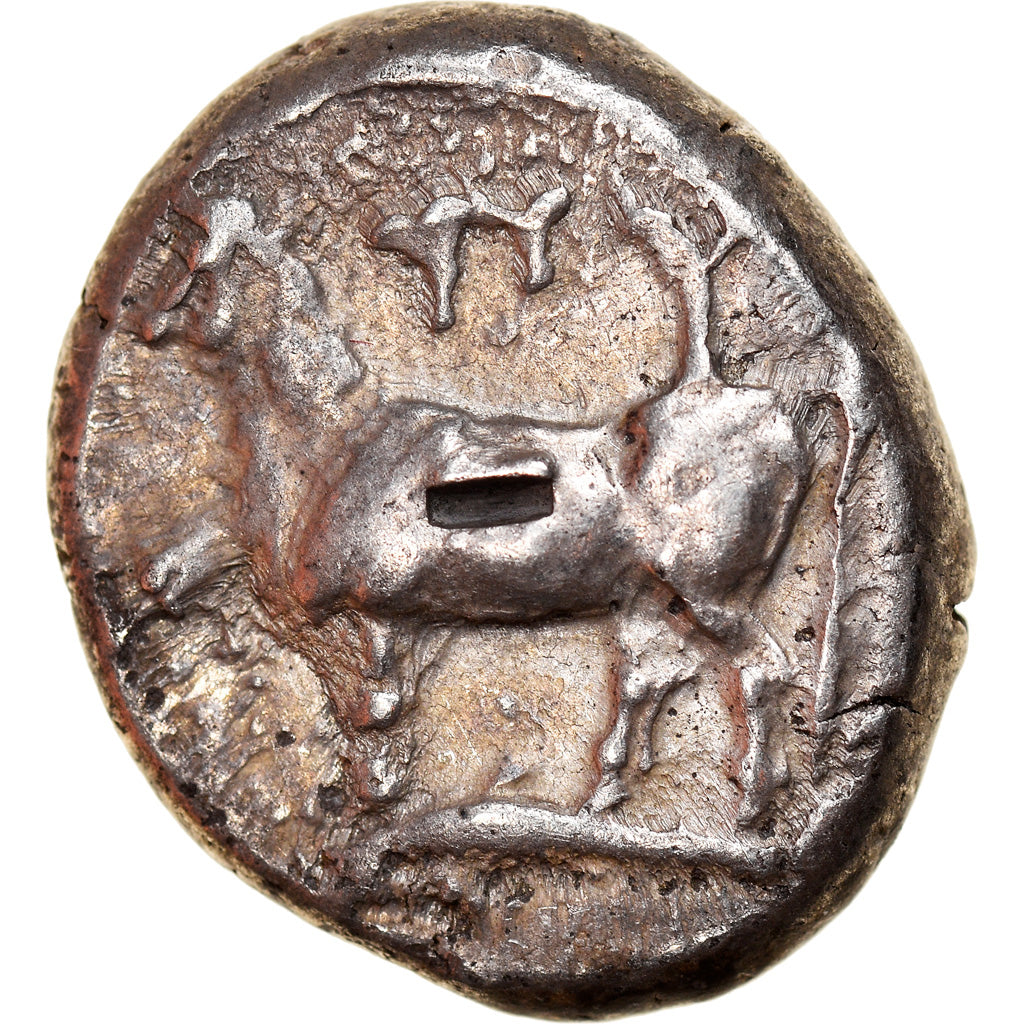 Münze, Thrace, Byzantion, Siglos, 340-320 BC, SS, Silber, HGC:3-1389