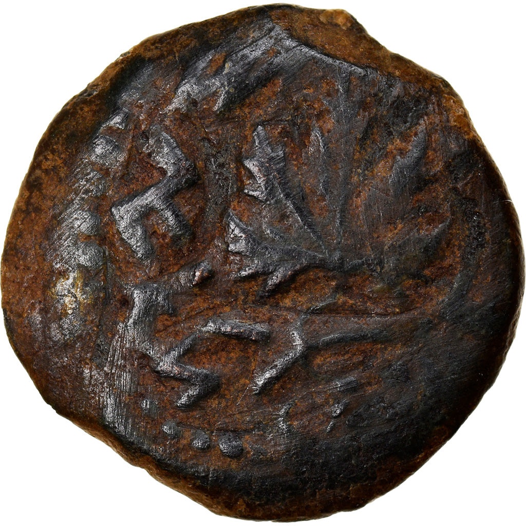 Coin, Judaea, First Jewish War, Prutah, Year 2 (67/68 AD), Jerusalem, VF(30-35)