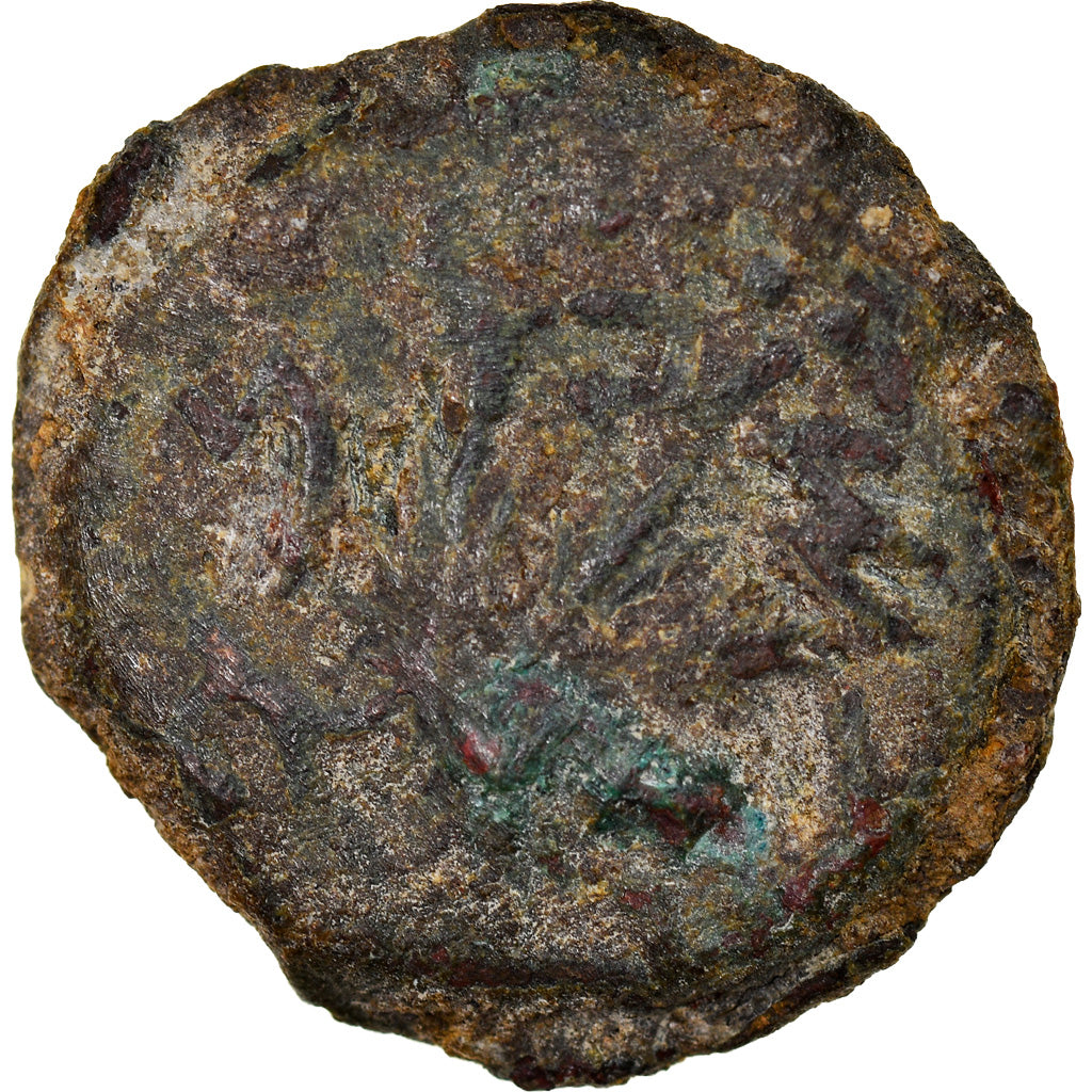 Moneta, Judaea, First Jewish War, Prutah, Year 2 (67/68 AD), Jerusalem, MB+