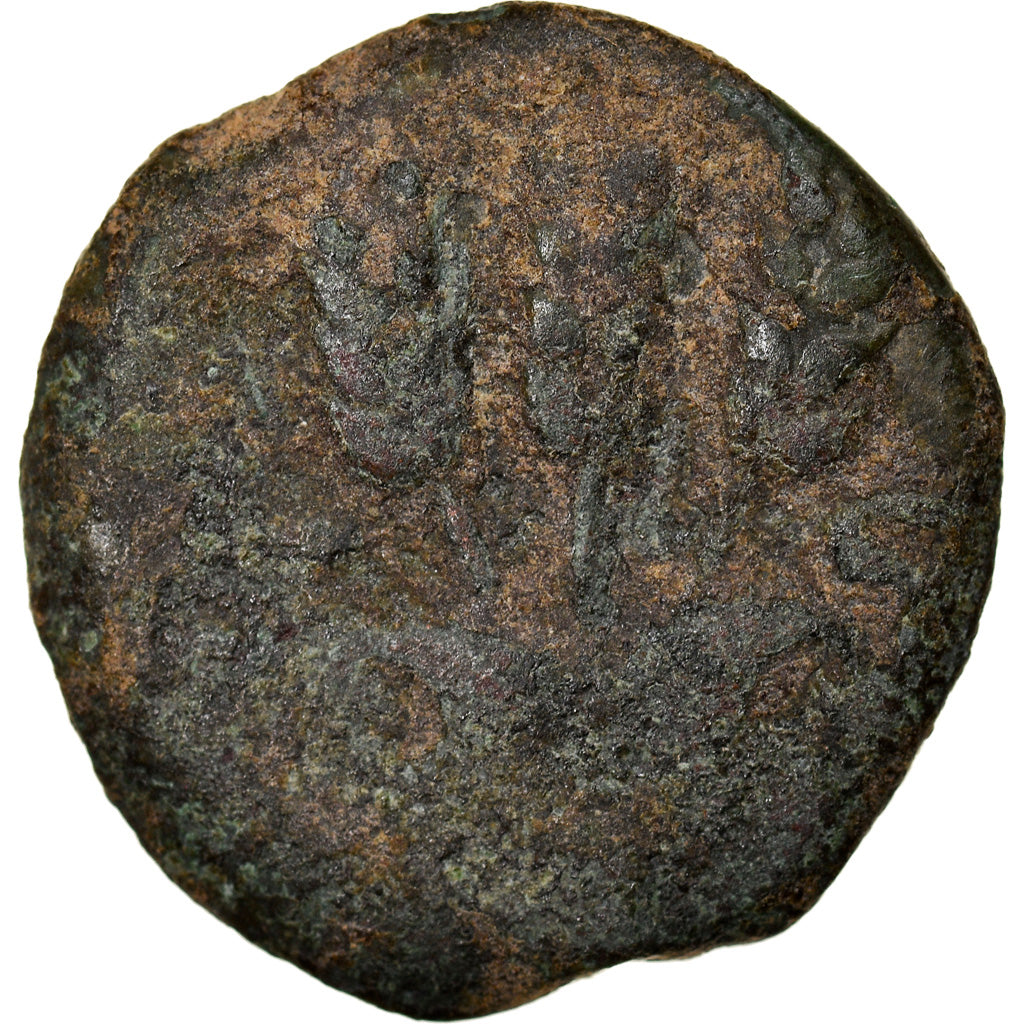 Coin, Judaea, Herodians, Agrippa I, Prutah, RY 6 (41/42 AD), Jerusalem