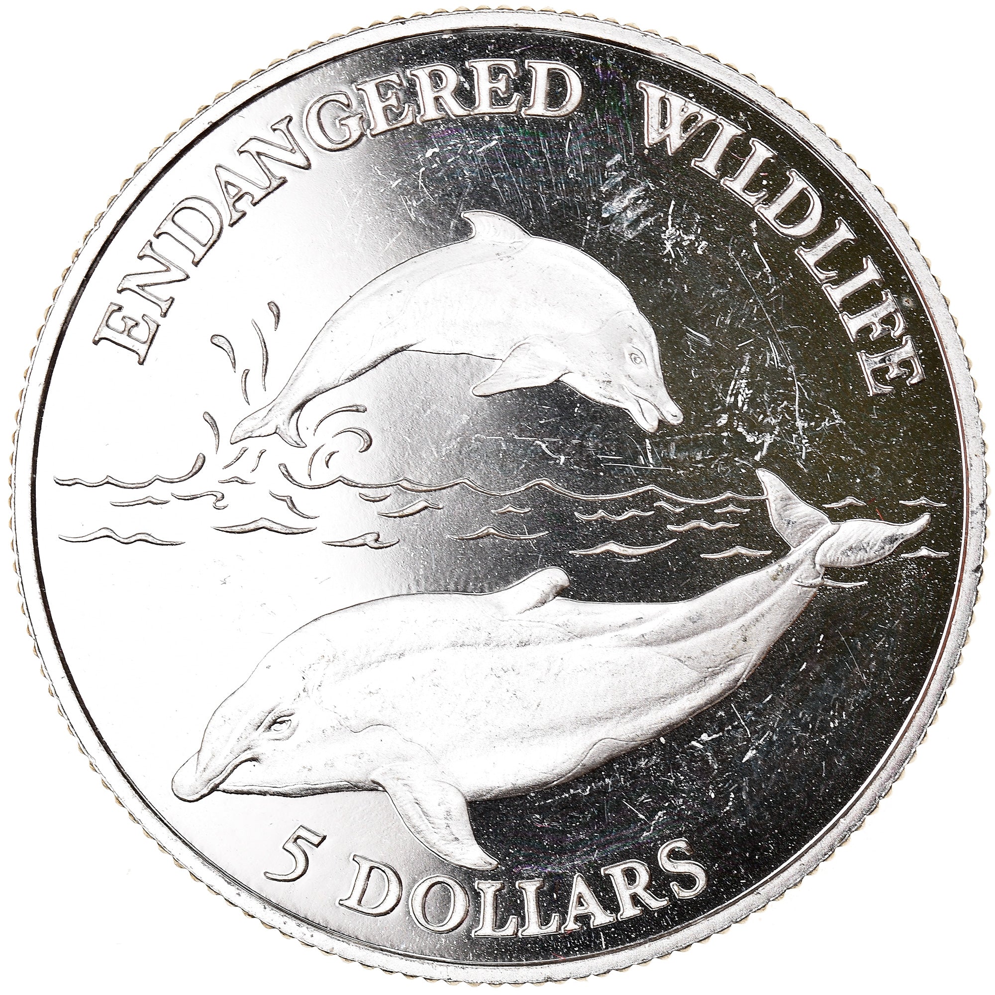 Coin, Niue, Elizabeth II, 5 Dollars, 1992, MS(63), Silver, KM:80