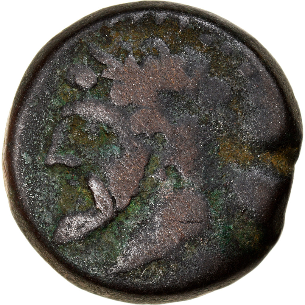 Coin, Numidia (Kingdom of), Massinissa or Micipsa, Bronze Æ, 2nd century BC