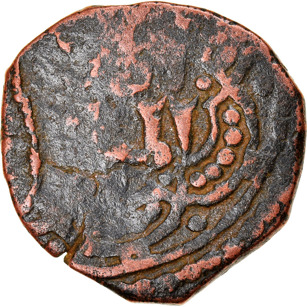 Coin, Ayyubids, al-'Aziz Muhammad, Fals, Halab, F(12-15), Copper
