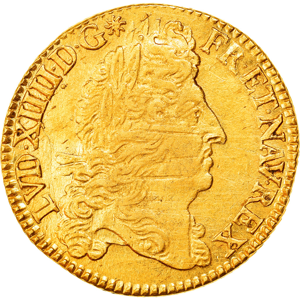 Moneta, Francia, Louis XIV, Double louis d'or à l'écu, 2 Louis D'or, 1690
