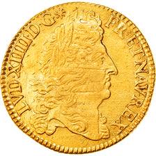 Moneta, Francia, Louis XIV, Double louis d'or à l'écu, 2 Louis D'or, 1690