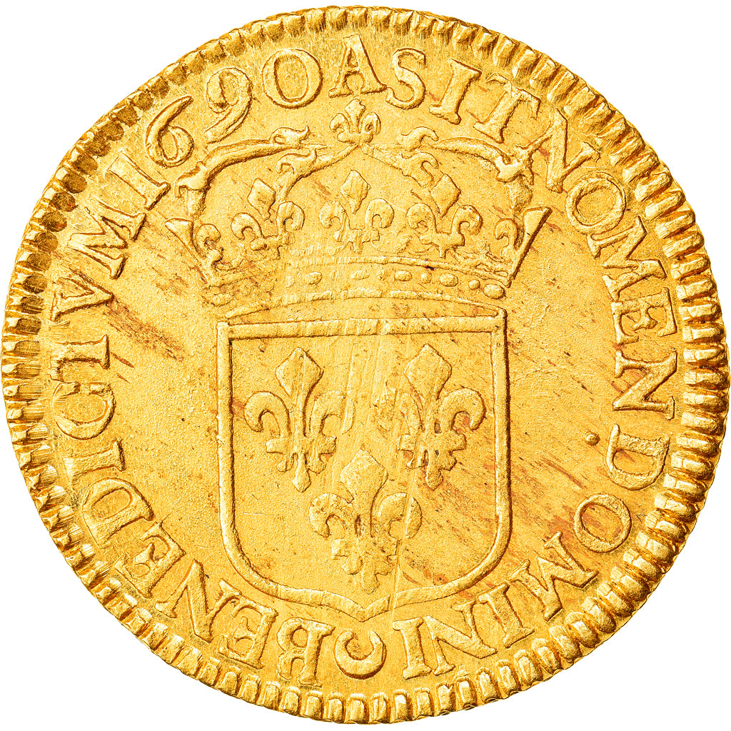 Moneta, Francia, Louis XIV, Double louis d'or à l'écu, 2 Louis D'or, 1690