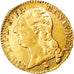 Moneta, Francja, Louis XVI, Louis d'or à la tête nue, Louis d'Or, 1788, Paris