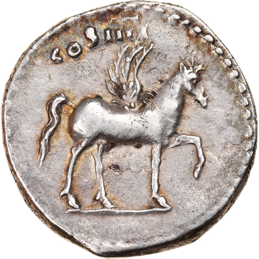 Coin, Domitian, Denarius, 76-77, Rome, AU(55-58), Silver, RIC:921