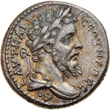 Monnaie, Séleucie et Piérie, Septime Sévère, Tétradrachme, 207-208