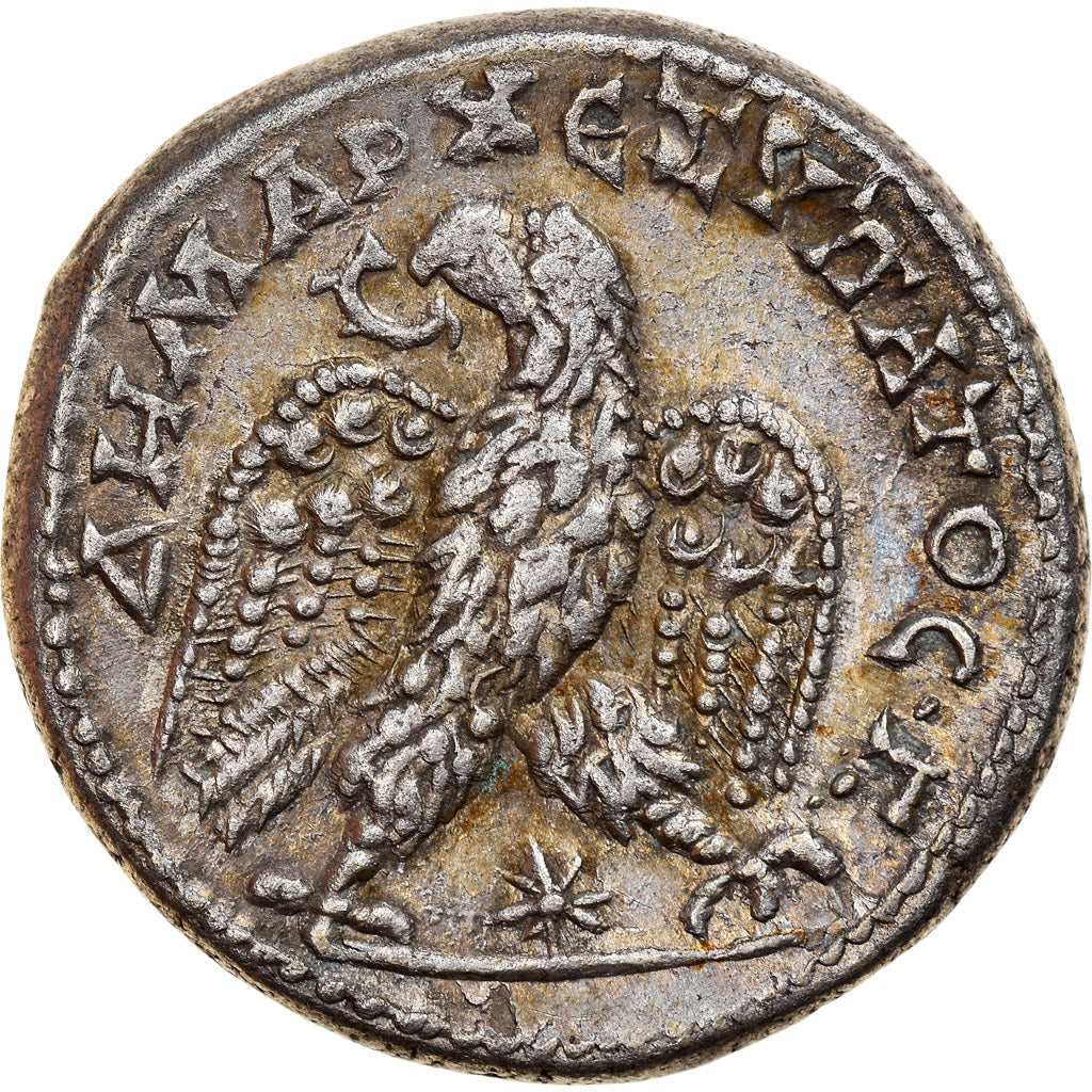 Moneta, Seleucis and Pieria, Septimius Severus, Tetradrachm, 207-208, Laodicea