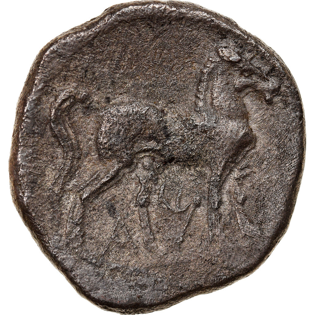 Moneda, Libyan Revolt, Carthage, Shekel, 241-238 BC, MBC+, Plata, SNG-Cop:236