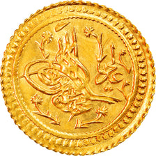 Moneta, Turchia, Mahmud II, Surre Altin, 1823 (1223//16), Darulhilafe, SPL, Oro