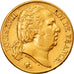 Coin, France, Louis XVIII, Louis XVIII, 20 Francs, 1819, Paris, EF(40-45), Gold