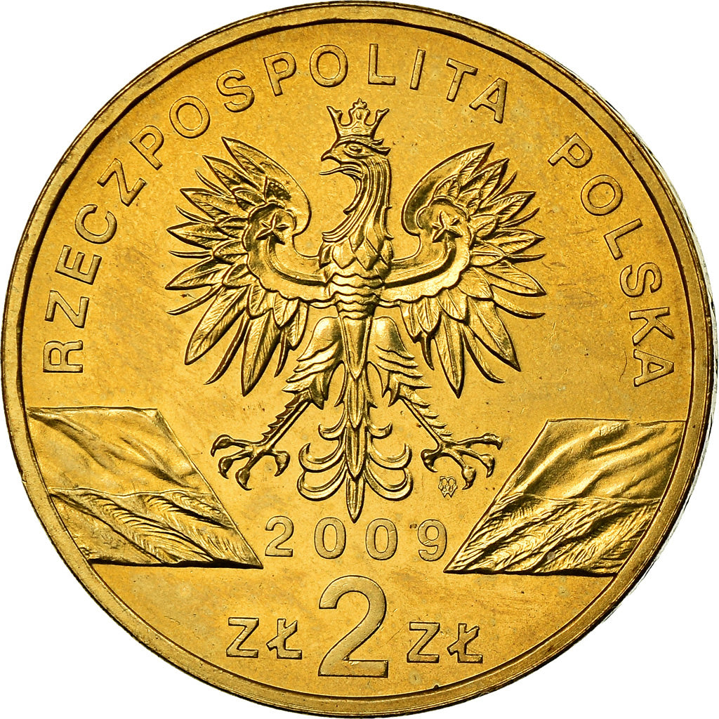Coin, Poland, 2 Zlote, 2009, Warsaw, MS(60-62), Brass, KM:678