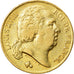 Moneda, Francia, Louis XVIII, 20 Francs, 1818, Lille, MBC, Oro