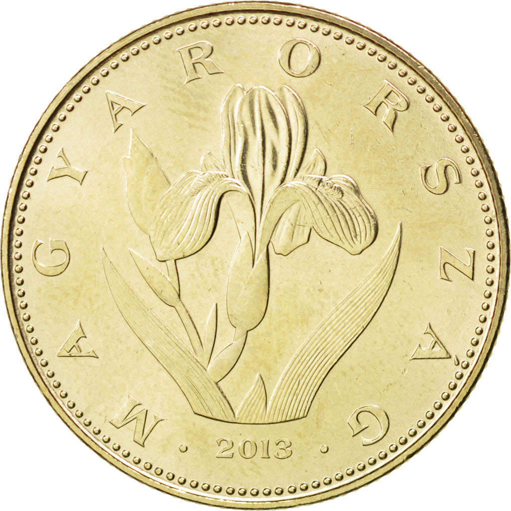 Coin, Hungary, 20 Forint, 2013, MS(63), Nickel-brass, KM:849