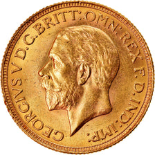 Moneda, Sudáfrica, George V, Sovereign, 1929, Pretoria, EBC, Oro, KM:A22