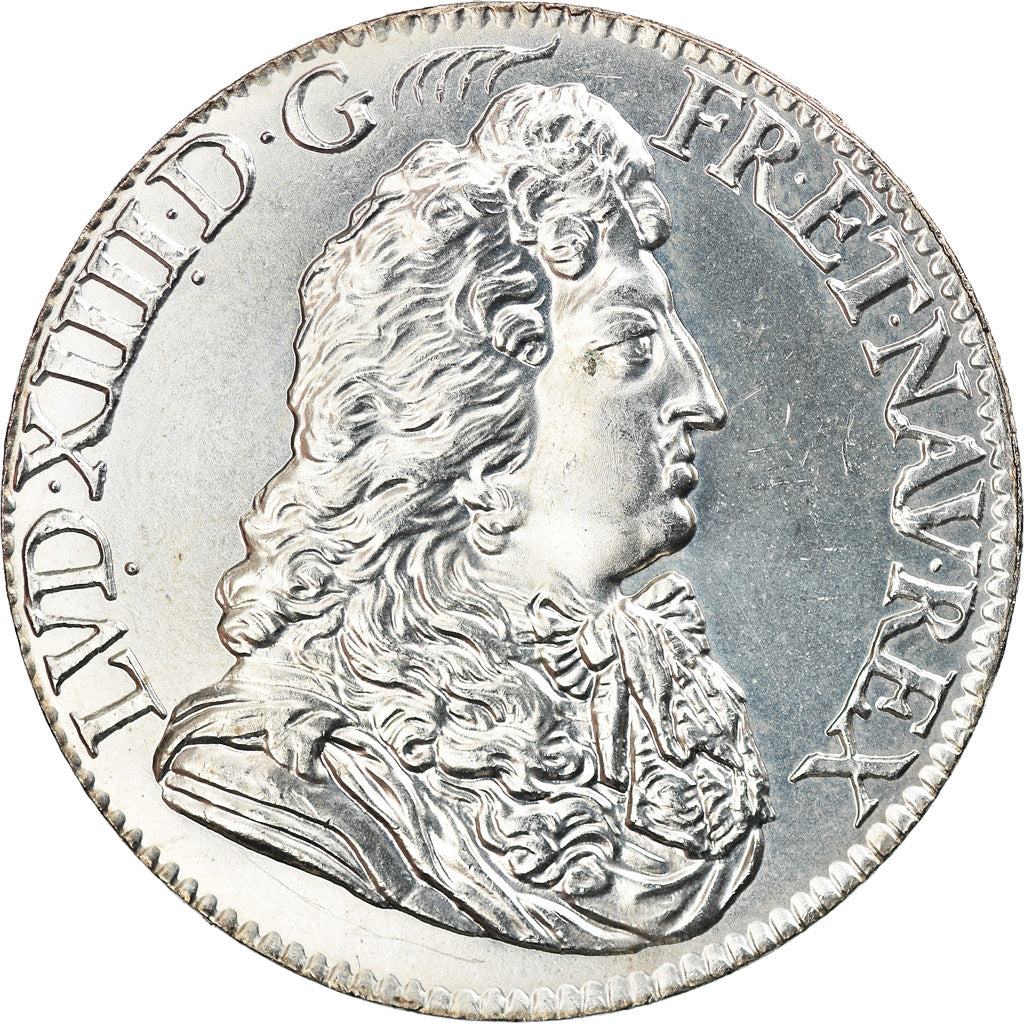 France, 10 Euro, PIECE D'HISTOIRE LOUIS XIV, 2019, MS(65-70), Silver