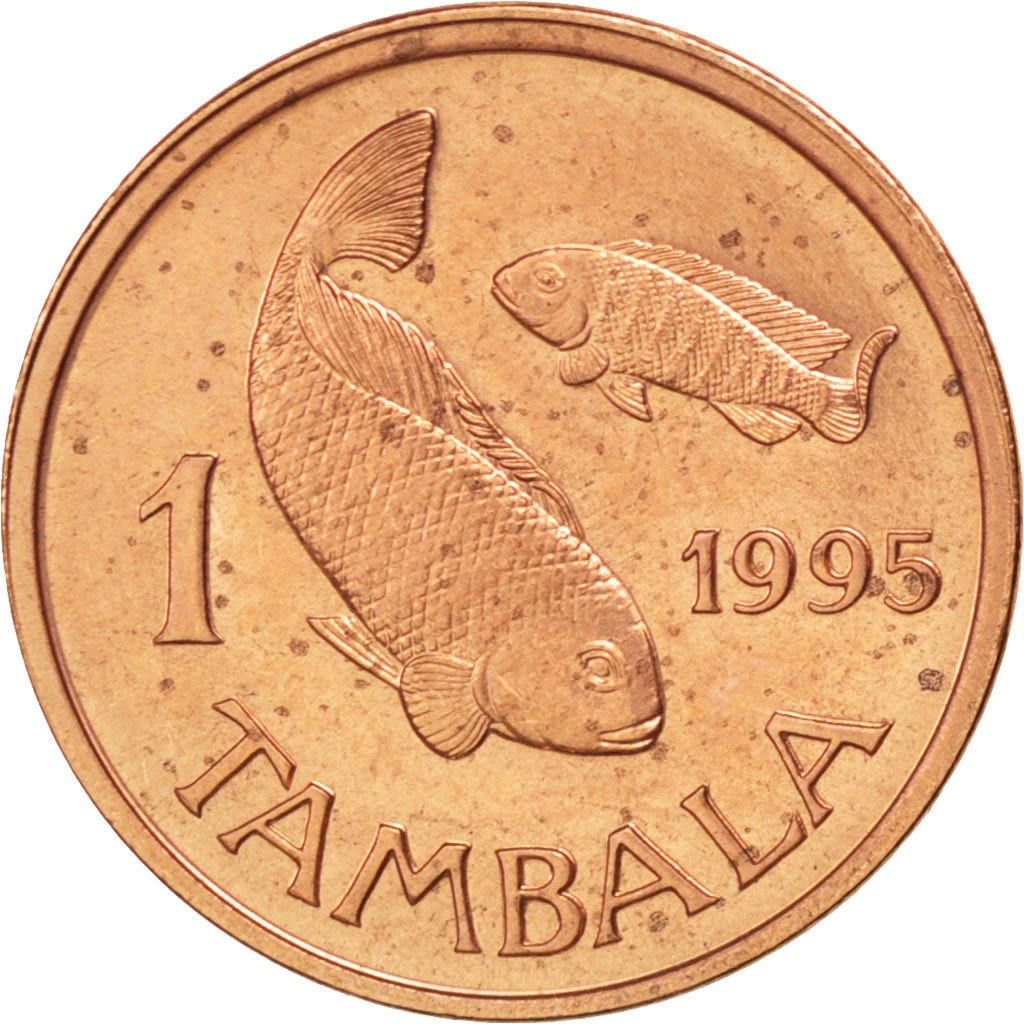 MALAWI, Tambala, 1995, KM #33, MS(63), Bronze, 17.3, 1.69