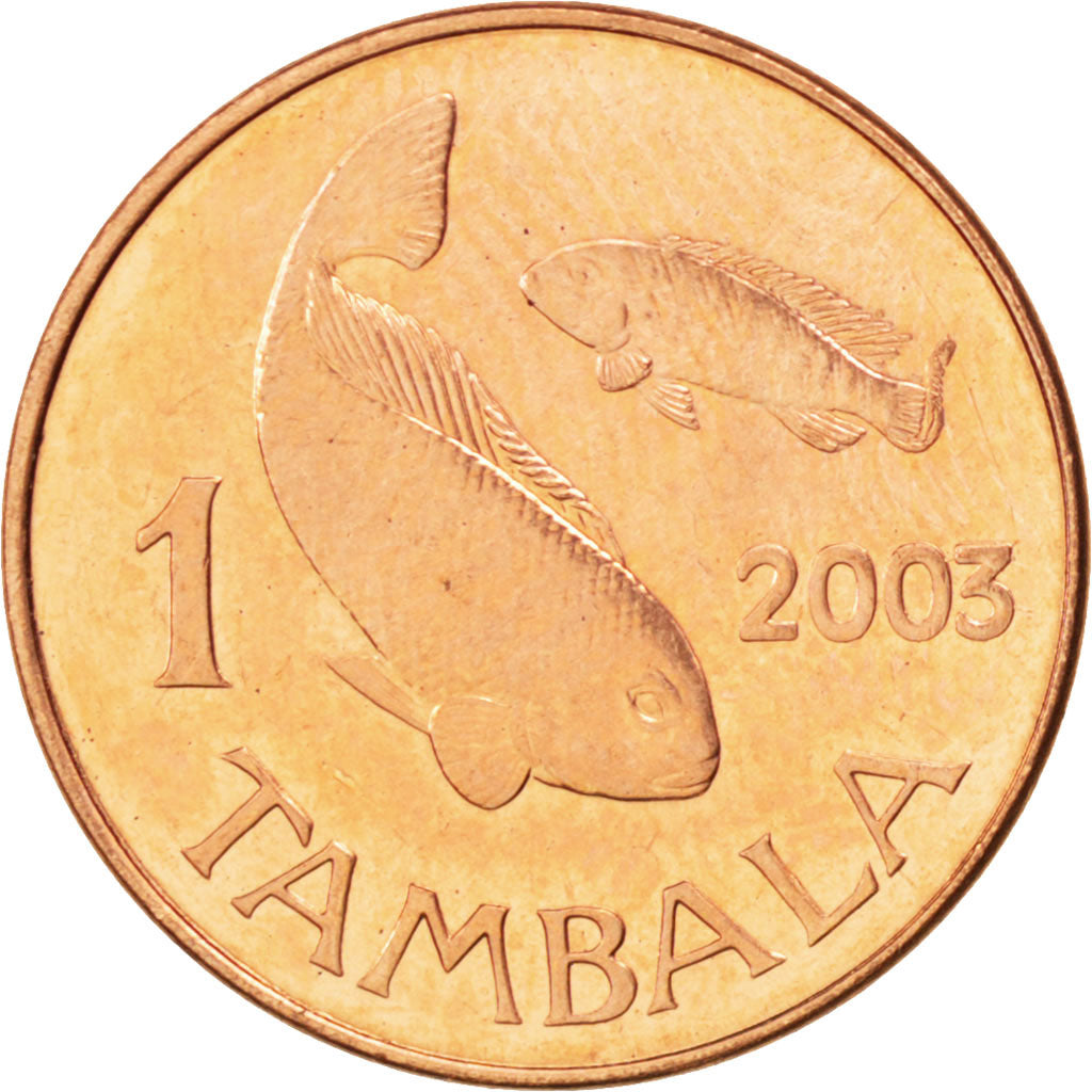 MALAWI, Tambala, 2003, KM #33a, MS(63), Copper Plated Steel, 17.3, 1.77