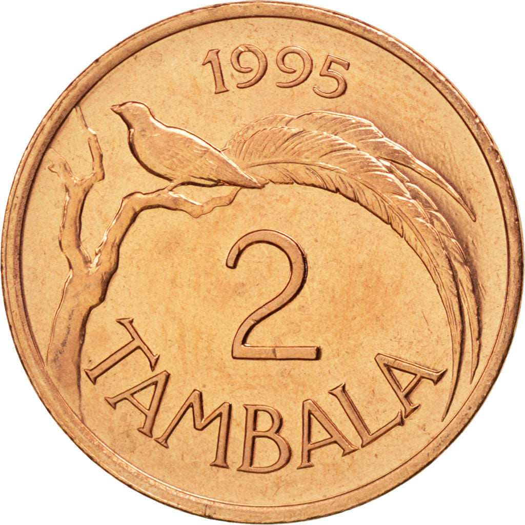 Moneta, Malawi, 2 Tambala, 1995, SPL, Bronzo, KM:34
