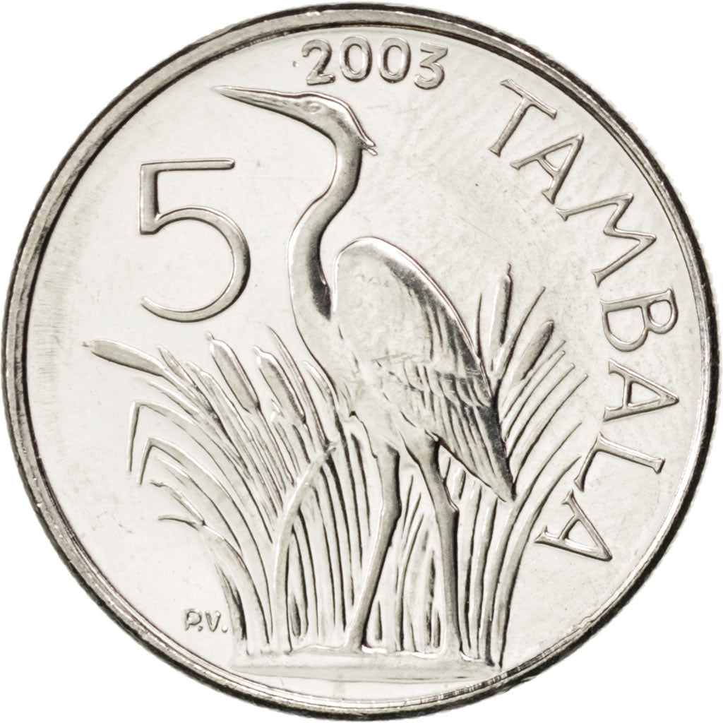MALAWI, 5 Tambala, 2003, KM #32.2, MS(63), Nickel Plated Steel, 19.35, 2.83