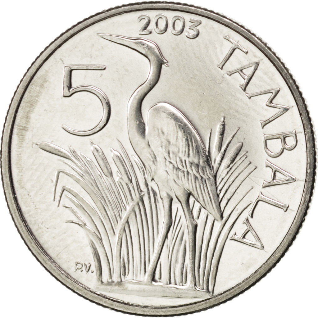 Coin, Malawi, 5 Tambala, 2003, MS(63), Nickel plated steel, KM:32.2