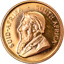 Münze, Südafrika, 1/2 Krugerrand, 1995, UNC, Gold, KM:107