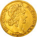 Moneda, Francia, Louis XIII, Double Louis d'or, 1640, Paris, MBC+