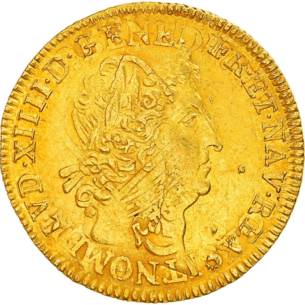 Coin, France, Louis XIV, Louis d'or aux 8 L et aux insignes, Paris, EF(40-45)